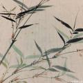 东霓霞光