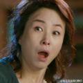 Sunflower_0203141951